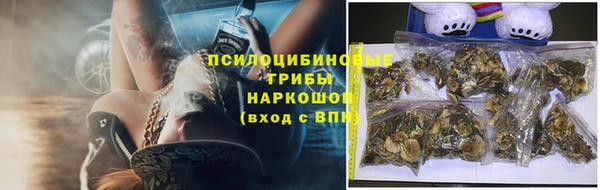 скорость Саяногорск