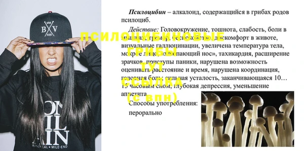 скорость Саяногорск